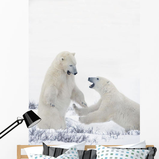 Two Polar Bears Play At Hudson Bay Wall Mural