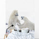Two Polar Bears Play At Hudson Bay Wall Mural