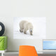 A Lone Polar Bear With a Curious Look Wall Mural