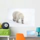A Lone Polar Bear With a Curious Look Wall Mural