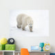 A Lone Polar Bear With a Curious Look Wall Mural