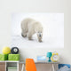 A Lone Polar Bear With a Curious Look Wall Mural