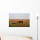 A Brown Horse Grazing Wall Mural