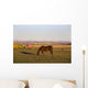 A Brown Horse Grazing Wall Mural