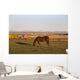 A Brown Horse Grazing Wall Mural