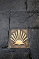 Venera Camino Santiago