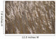 Reeds, Close Up Wall Mural