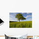 Single Oak Tree On A Hill Wall Mural