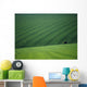 England, Green Fields With One Tree Wall Mural