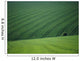 England, Green Fields With One Tree Wall Mural