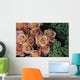 Roses And Green Flowers, Close Up Wall Mural