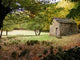 Cabin Woods Chestnut Wall Decal Design 2