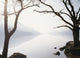 Snowy Trees with Sunrise on the Horizon Wall Mural