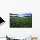 Field Of Grass And Coastline Wall Mural
