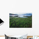Field Of Grass And Coastline Wall Mural