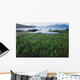 Field Of Grass And Coastline Wall Mural