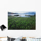 Field Of Grass And Coastline Wall Mural