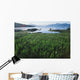 Field Of Grass And Coastline Wall Mural