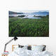 Field Of Grass And Coastline Wall Mural