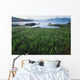Field Of Grass And Coastline Wall Mural