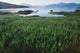 Field Of Grass And Coastline Wall Mural