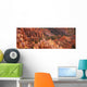 Orange Rock Formations And Trees At Bryce Canyon Wall Mural