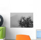 Tree And A Mountain In The Fog In Yosemite Park Wall Mural