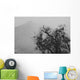 Tree And A Mountain In The Fog In Yosemite Park Wall Mural