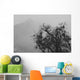 Tree And A Mountain In The Fog In Yosemite Park Wall Mural