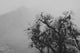Tree And A Mountain In The Fog In Yosemite Park Wall Mural
