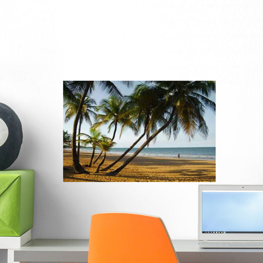 Palm Trees Caribbean Sea Wall Mural