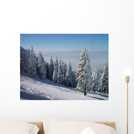 Winter Trees Wall Decal Design 3