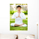 Man Meditating Wall Mural
