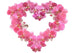 Pink Orchids Heart Wall Decal