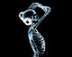 dj xray Wall Mural