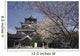 Hiroshima Castle And Cherry Blossoms In Spring Wall Mural