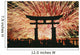 Summer Fireworks At Itsukushima Shrine Wall Mural