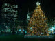 Boston's Christmas Tree Wall Decal Design 3