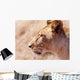 Lioness Staring Intently At Passing Gazelle, Close Up Wall Mural
