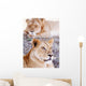 Lionesses Lying In Shade In Maasai Mara Game Reserve Wall Mural