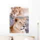 Lionesses Lying In Shade In Maasai Mara Game Reserve Wall Mural