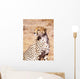 Cheetah In Maasai Mara Game Reserve Wall Mural