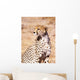 Cheetah In Maasai Mara Game Reserve Wall Mural