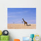 Giraffe Standing Wall Mural