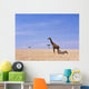 Giraffe Standing Wall Mural