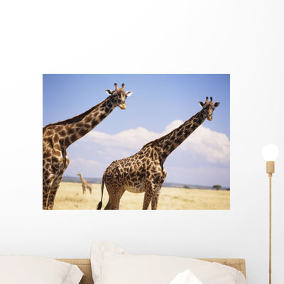 Giraffe Standing Wall Mural shown on a wall