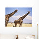 Giraffe Standing Wall Mural