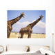 Giraffe Standing Wall Mural