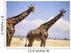 Giraffe Standing Wall Mural