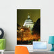 St Paul's Cathedral At Night With Trees Wall Mural